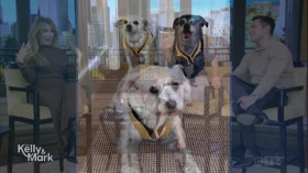 Live with Kelly and Mark 2024 11 07 Carrie Ann Inaba XviD-AFG EZTV