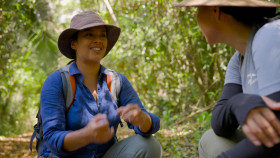 Liz Bonnins Wild Caribbean S01E02 1080p HDTV H264-DARKFLiX EZTV