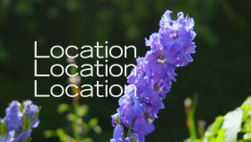 Location Location Location S42E03 1080p WEB H264-CBFM EZTV