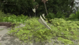 Lost Beasts S01E06 XviD-AFG EZTV