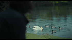 Lost Boys and Fairies S01E02 With or Without You 1080p STAN WEB-DL AAC2 0 H 264-FLUX EZTV