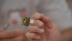 Lost In France S01E01 1080p WEB H264-CBFM EZTV