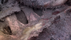 Lost Monster Files S01E05 1080p HEVC x265-MeGusta EZTV