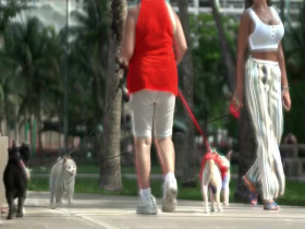 Love and Hip Hop Miami S04E05 480p x264-mSD EZTV