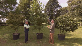Love Your Weekend with Alan Titchmarsh S06E26 1080p WEB h264-CODSWALLOP EZTV