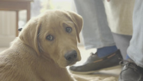 Love Your Weekend with Alan Titchmarsh S06E27 1080p WEB h264-CODSWALLOP EZTV