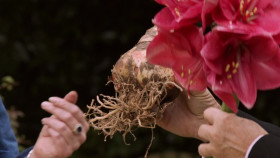 Love Your Weekend with Alan Titchmarsh S06E35 1080p WEB h264-CODSWALLOP EZTV