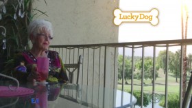 Lucky Dog S04E20 Arts And Entertainment 720p HDTV x264-W4F EZTV