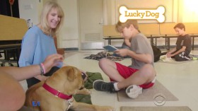 Lucky Dog S04E25 Where Are They Now 720p HDTV x264-W4F EZTV