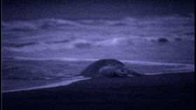 Lucky Hank S01E06 1080p HEVC x265-MeGusta EZTV