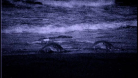 Lucky Hank S01E06 720p WEB x265-MiNX EZTV