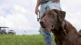 Luxury Hunting Lodges of America S01E01 XviD-AFG EZTV