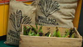 Luz The Light of the Heart S01E09 1080p WEB h264-DOLORES EZTV