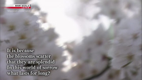 Magical Japanese S01E02 Cherry blossoms 1080p HDTV H264-DARKFLiX EZTV