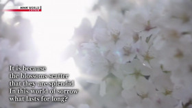 Magical Japanese S01E02 Cherry blossoms 720p HDTV x264-DARKFLiX EZTV