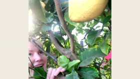 Magnolia Table with Joanna Gaines S08E01 1080p HEVC x265-MeGusta EZTV