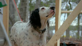 Maine Cabin Masters S07E06 Refreshing the Cooper Cottage 1080p WEB h264-KOMPOST EZTV
