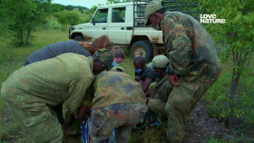 Malawi Wildlife Rescue S02E05 iNTERNAL 2160p UHDTV H265-CBFM EZTV