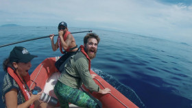 Mammals 2024 S01E00 The Making of Compilation 1080p WEB h264-EDITH EZTV