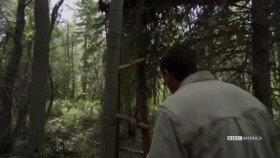 Man vs Wild S03E00 Bears Ultimate Survival Guide Part 1 XviD-AFG EZTV