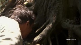 Man vs Wild S04E00 Bears Ultimate Survival Guide Part 2 XviD-AFG EZTV