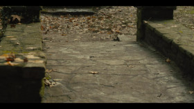 Mare of Easttown S01E03 720p WEB x265-MiNX EZTV