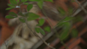 Married At First Sight UK S09E01 1080p WEB H264-CBFM EZTV