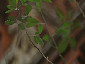 Married At First Sight UK S09E01 480p x264-mSD EZTV