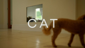 Married To The Game S01E02 1080p WEB H264-CBFM EZTV