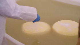 Martha Cooks S05E04 XviD-AFG EZTV