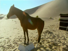 Martin Clunes My Travels and Other Animals S01E08 480p x264-mSD EZTV