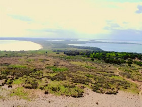 Martin Clunes My Travels and Other Animals S01E09 480p x264-mSD EZTV