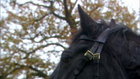 Martin Clunes My Travels and Other Animals S01E10 1080p HDTV H264-DARKFLiX EZTV