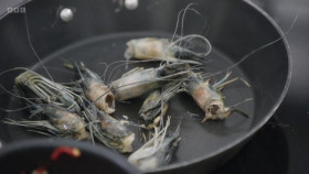 MasterChef The Professionals S17E04 1080p HEVC x265-MeGusta EZTV