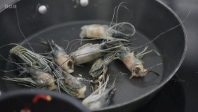 MasterChef The Professionals S17E04 720p HEVC x265-MeGusta EZTV