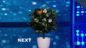 Masters of Illusion S10E14 1080p WEB h264-EDITH EZTV