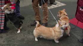 Matt Baker Christmas Travels With Mum And Dad S03E01 1080p WEB H264-CBFM EZTV