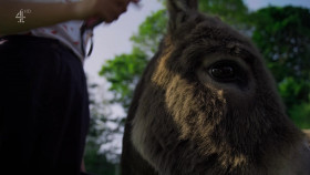 Matt Baker Our Farm in the Dales S02E04 1080p HDTV H264-DARKFLiX EZTV