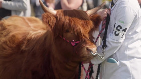 Matt Baker Travels With Mum And Dad S03E01 1080p WEB H264-CBFM EZTV