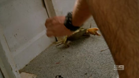 Matt Wrights Wild Territory S01E03 720p HEVC x265-MeGusta EZTV