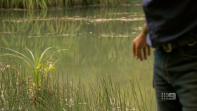 Matt Wrights Wild Territory S01E05 1080p HEVC x265-MeGusta EZTV