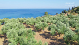 Mediterranean Life Under Siege S01E04 1080p HDTV H264-CBFM EZTV