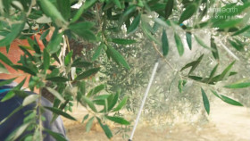 Mediterranean Life Under Siege S01E04 1080p HEVC x265-MeGusta EZTV