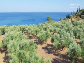 Mediterranean Life Under Siege S01E04 480p x264-mSD EZTV