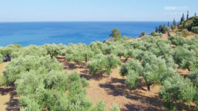 Mediterranean Life Under Siege S01E04 XviD-AFG EZTV