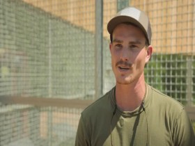 Meet The Chimps S01E01 480p x264-mSD EZTV