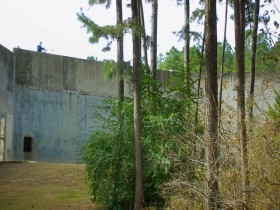 Meet The Chimps S01E04 480p x264-mSD EZTV