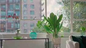 Mind Your Manners S01 1080p WEBRip x265 EZTV