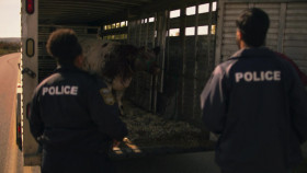 Moonshine S03E07 1080p WEBRip x264-BAE EZTV