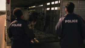 Moonshine S03E07 720p WEBRip x264-BAE EZTV